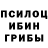 Галлюциногенные грибы GOLDEN TEACHER Darya Novik