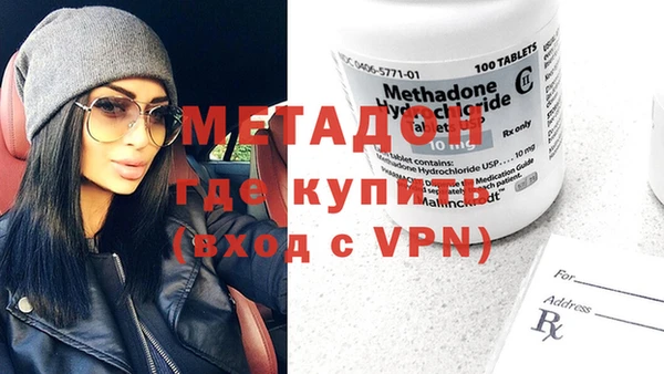 сатива Гусев