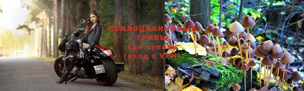 твердый Гусь-Хрустальный